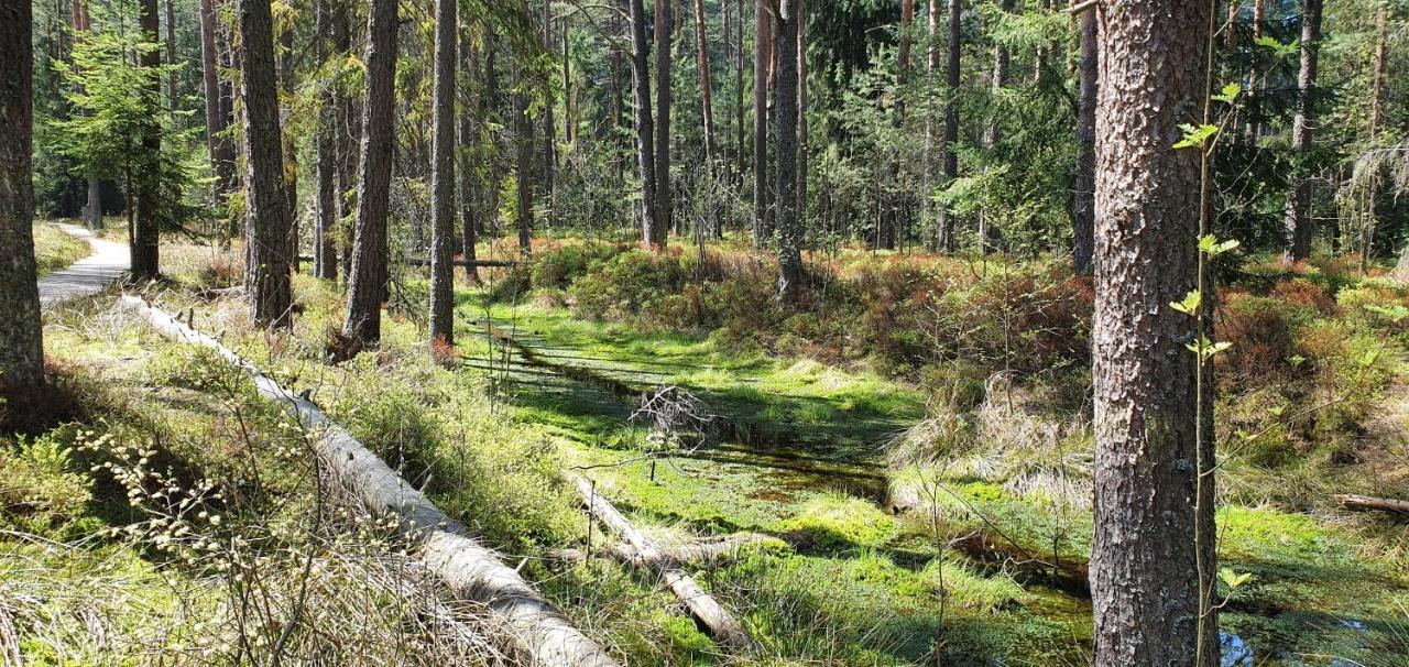 Eco Domek Z Duzym Ogrodem I Widokiem Мужасихле Экстерьер фото