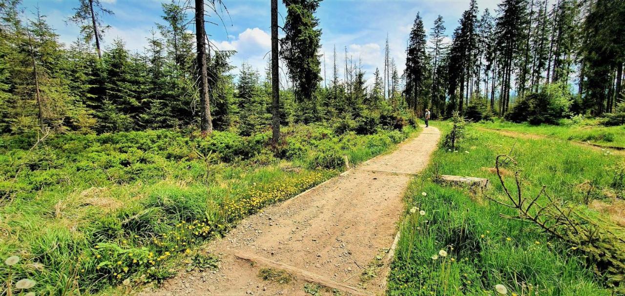 Eco Domek Z Duzym Ogrodem I Widokiem Мужасихле Экстерьер фото